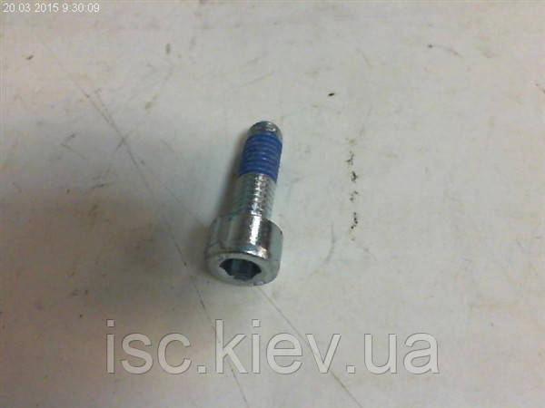 Гвинт Bosch 1613414021
