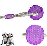 Іграшка для собак М'яч на мотузці з присоском Perfect Power (Фіолетовий) Іграшка для тварин жувальна, фото 2