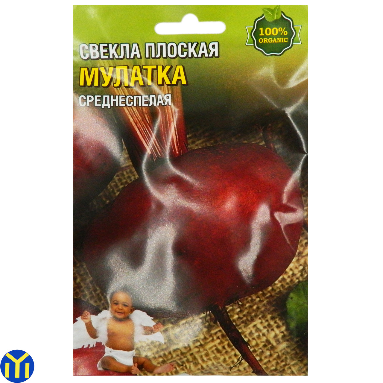 Буряк плоска Мулатка, Середньостигла