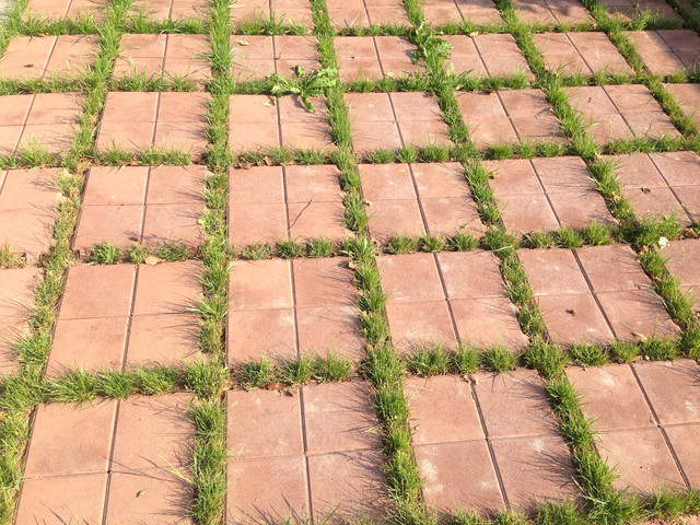 гравій,створення проїздної частини,проїзд,укладання доріг,матеріали для проїздної частини,матеріали для дороги,мощення дороги,поверхні з бетону,поверхні з бруківки,поверхні з гравію,вилитий бетон,бетонній плити,бетонні доріжки,пластикові решітки,бетонні решітки,бетонний куб,доріжки з бруківки,вицвітання бруківки,доріжки з гравію,клінкерна бруківка,бруківка,будівельні матеріали,тротуарна плитка,гранітна бруківка,побудувати проїжджу частину,укладання поверхні