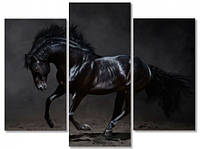 Модульная картина IDEAPRINT Черная лошадь V-10015 90x70 см