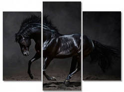 Модульна картина IDEAPRINT Чорна кінь V-10015 90x70 см