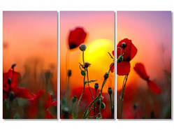 Модульна картина IDEAPRINT "Червоні маки"