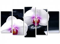 Модульная картина IDEAPRINT Белые орхидеи на камнях 70, 125