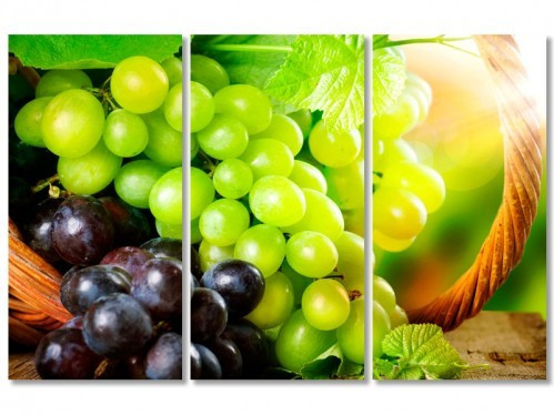 Модульная картина IDEAPRINT Гроздья винограда V-10110 90x59 см, фото 1