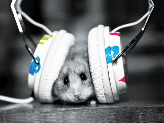 Картина IDEAPRINT "Хом'як в навушниках", фото 1