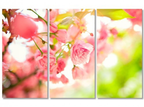 Модульна картина IDEAPRINT Рожеві квіти на гілці, фото 1