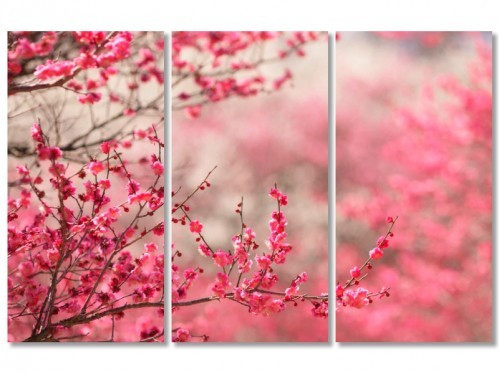 Модульна картина на полотні в кімнату Рожевий кущ, фото 1