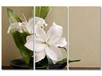 Модульная картина IDEAPRINT "Белые лилии"