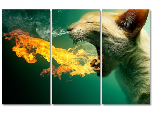 Модульная картина IDEAPRINT "Кот", фото 1