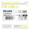 Люмінесцентна лампа 120 см PHILIPS TL-D 36W/54-765 G13 T8 standard 928048505451, фото 2