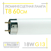 Люминесцентная лампа 60см PHILIPS TL-D 18W/54-765 G13 T8 standard 928048505451