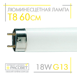 Люмінесцентна лампа 60 см PHILIPS TL-D 18W/54-765 G13 T8 standard 928048505451