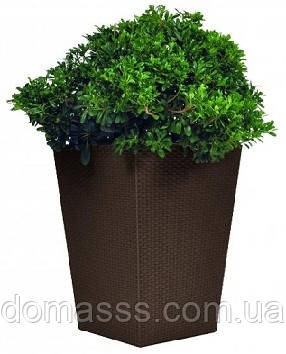 Горщик для квітів Keter Rattan L коричневий 17192302, фото 1