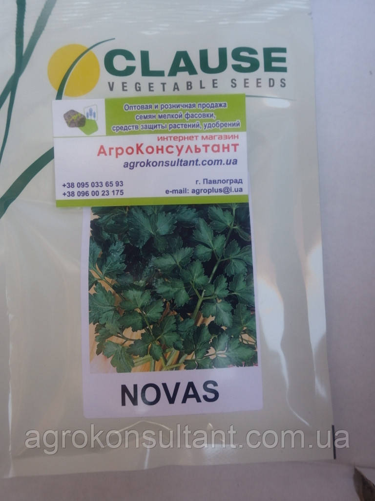 Насіння петрушки Новас (Clause), 100 грам - середньорання (30-45 днів), листова