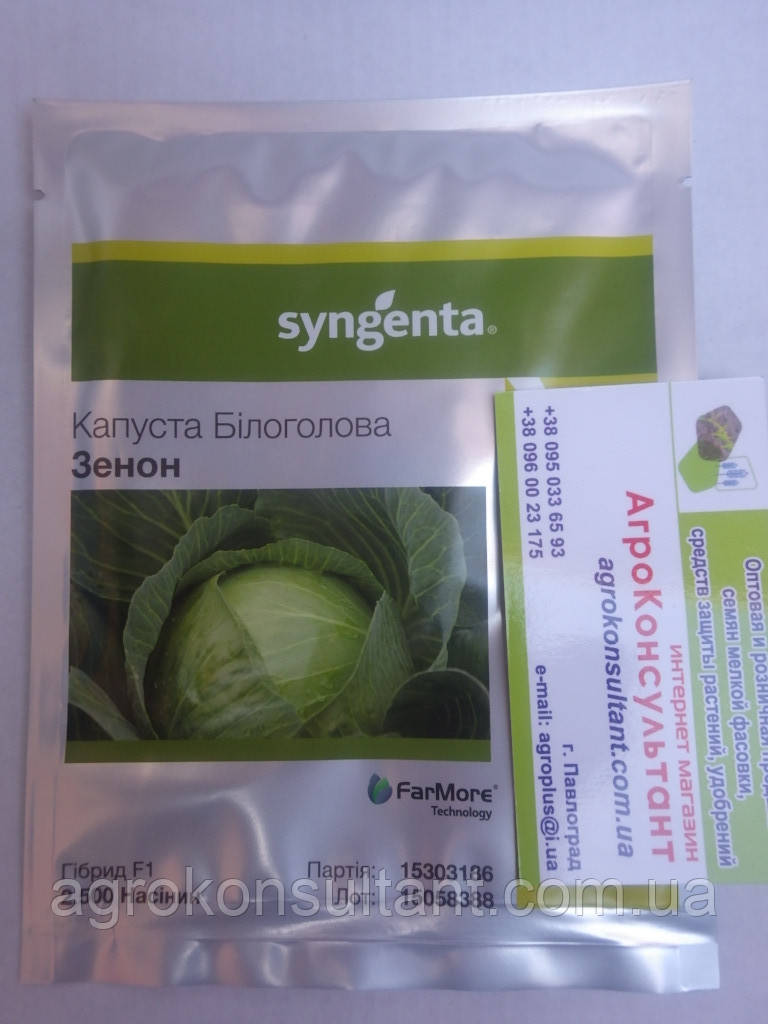 Насіння капусти Зенон F1 (Syngenta) 2500 насіння — пізній гібрид (130-135 днів), для зберігання, білочана.