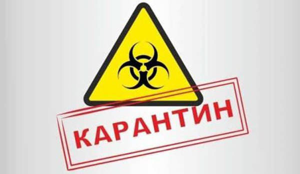 Як отримати користь з карантину?