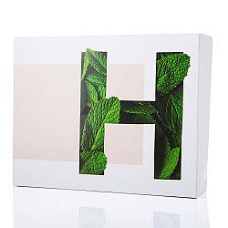 Фірмова коробка Hillary