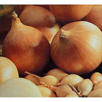 Цибуля посадкова Центуріон 0,5 кг