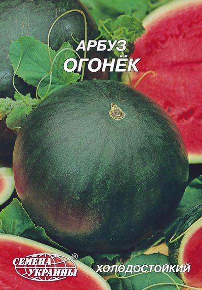 Кавун Огоньок 20г Насіння України, фото 1