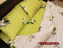 Сімейний набір бавовняного постільної білизни з Бязі "Gold" №156912AB Черешенка™, фото 5