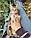 Кішечка Чаузі Ф2 (pink collar) народжена 12.01.2020 у розпліднику Royal Cats. Україна, Київ, фото 2