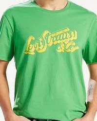 Чоловіча футболка Levis® Graphic Tee — Medium Green Script (M)