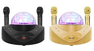 Бездротова стереокароке система X15315 з дискоду та двома мікрофонами