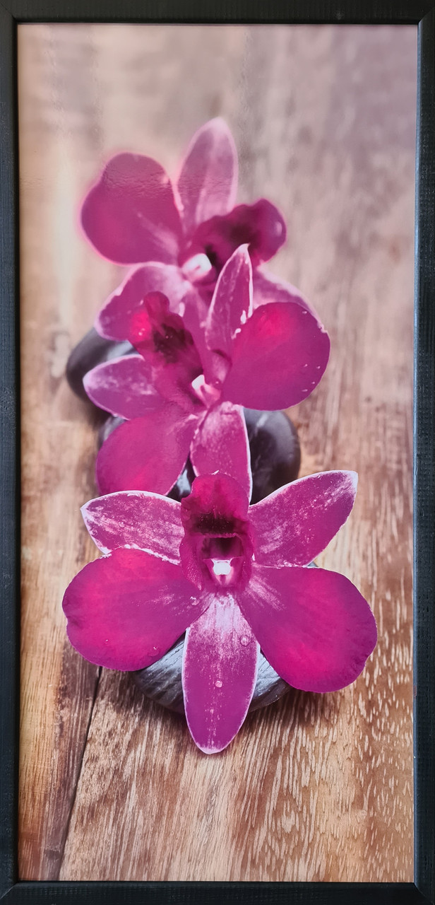 Фотокартина в дерев'яній рамі Orchid 5 33х70 см POS-3370-219