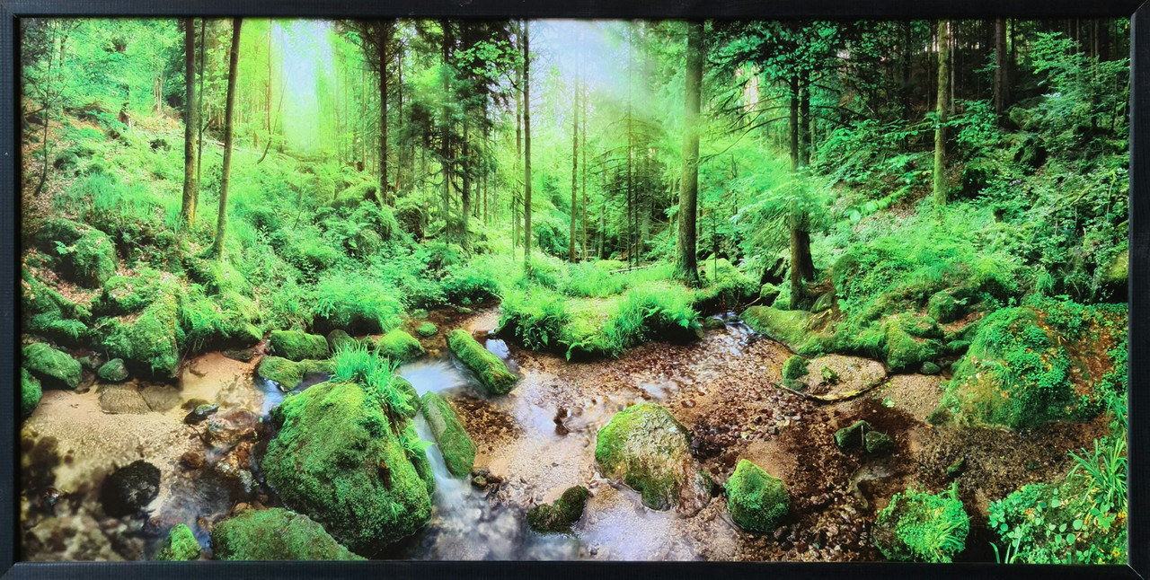 Фотокартина в дерев'яній рамі Forest 3 50х100 см POS-50100-283