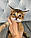 Кошеня Чаузі Ф1, народжена 16.01.2020 у вихованці Royal Cats. Україна, Київ, фото 4