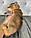 Кошеня Чаузі Ф1, народжена 16.01.2020 у вихованці Royal Cats. Україна, Київ, фото 5