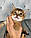 Кошеня Чаузі Ф1, народжена 16.01.2020 у вихованці Royal Cats. Україна, Київ, фото 8