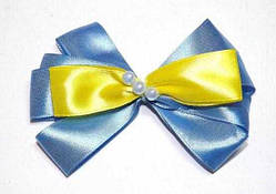 Качечка 12_3_11