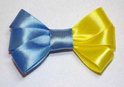 Качечка 12_3_15