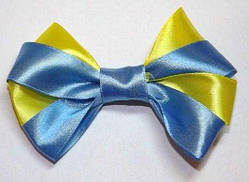 Качечка 12_3_16