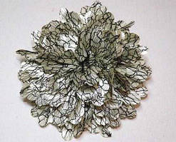 Шпильки для волосся качечки, світло-бежевий 144_5_2a3