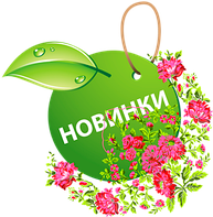 Новинки