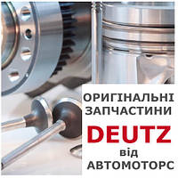 Заглушка металлическая Deutz 01107619