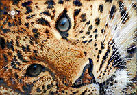 Картина з бісером СЛ-3166 "Золотий леопард"