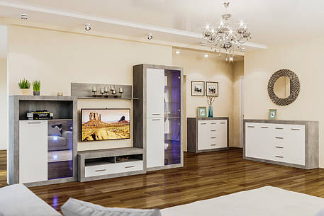 Модульна система для вітальні в сучасному стилі Омега Світ меблів, колір індастріал / білий, фото 1