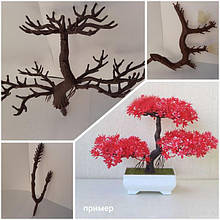 Основи-заготовки для дерева бонсай, ніжки, основи для флористичних композицій