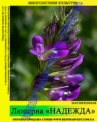 Насіння Люцерна 25 кг (мішок), магниченная
