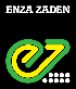 Сакура F1 500 шт Enza Zaden Томат Індетермінантний Насіння (Томат Индетерминантный Семена), фото 4