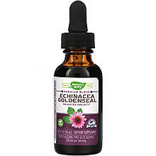 Ехінацея та жовтокорін Nature's Way "Echinacea Goldenseal" у рідкій формі, 250 мг (30 мл)