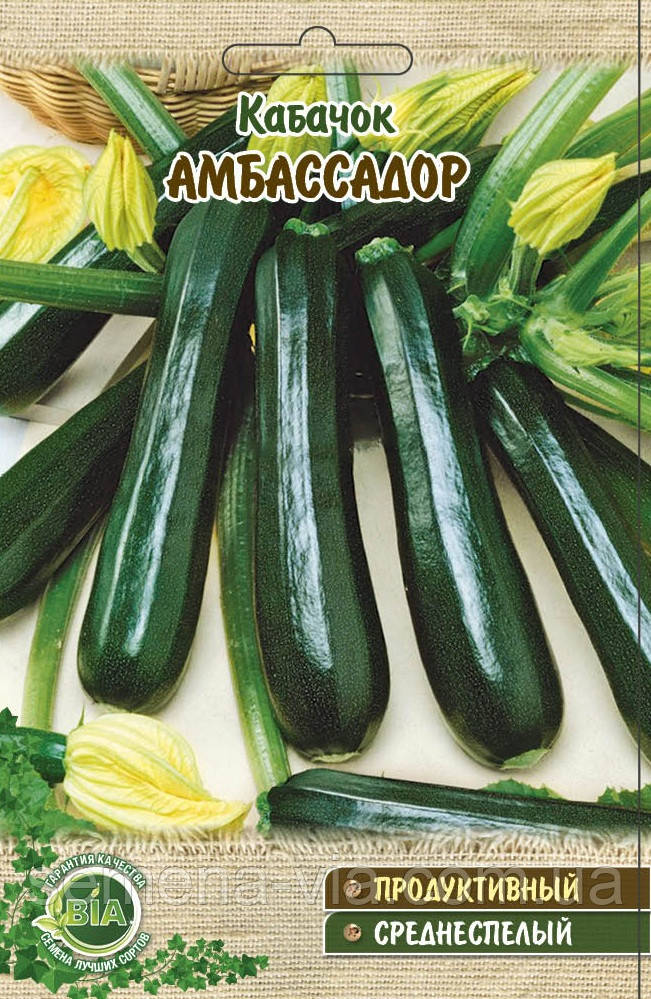 Кабачок Амбасадор (15 г) (в упаковці 10 шт.)