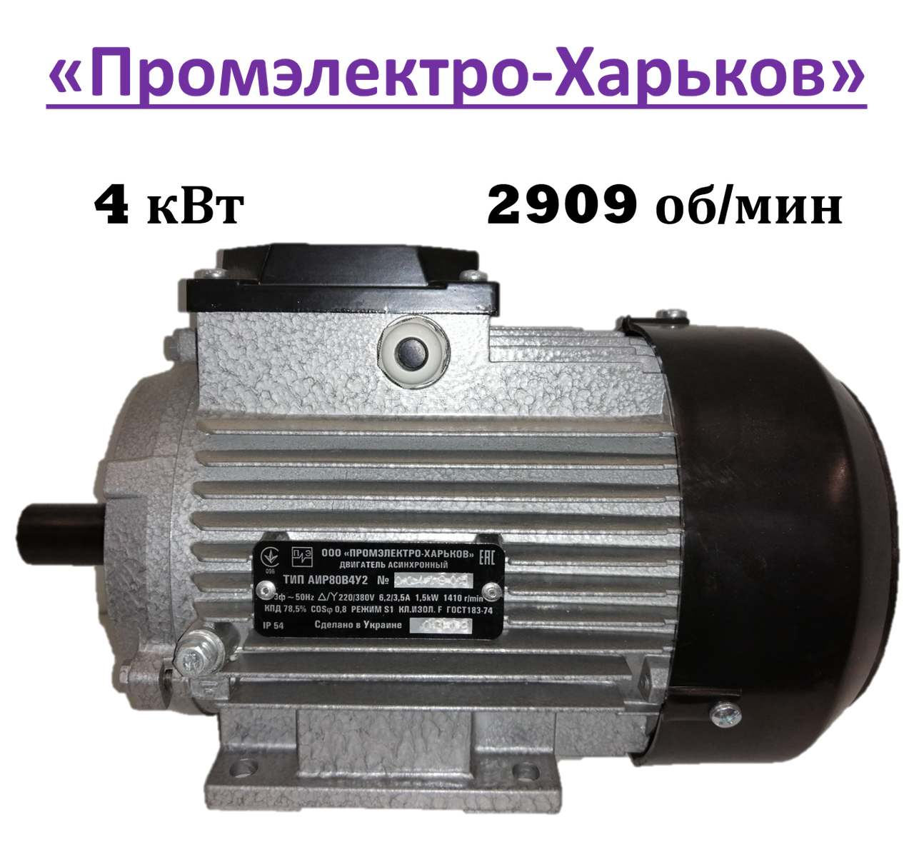 Електродвигун трифазний "Промелектро-Харків" АІР 100 S2 У2 (4 кВт, 2909 об/хв., 380 В, лапи)
