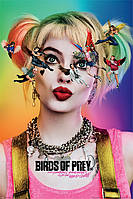 Постер плакат "Хищные Птицы (Видя Звезды) / Birds Of Prey (Seeing Stars)" 61x91.5см (ps-001733)