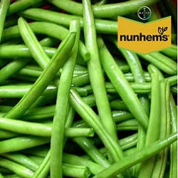 Нагано 100 000 шт Nunhems Квасоля Насіння (Фасоль Семена)