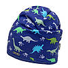 Демісезонна двошарова шапка Динозаври ТМ David's Star, фото 2